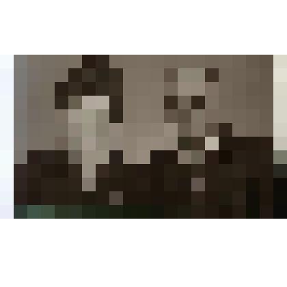 Фотография. Костылева Пелагея Даниловна с мужем Петром Борисовичем