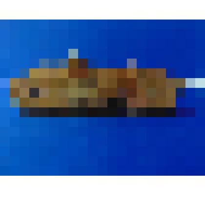 Шпунтгебель (пазник)