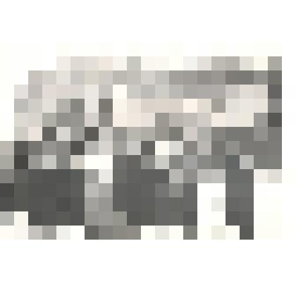 Фотография: демонстрация 1 мая 1961 года в г.Камне-на-Оби Алтайского края