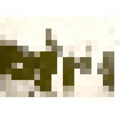 Фотография: Орлов Яков Исаевич, командир дивизиона 8-го Бурлинского партизанского полка направляется с учащимися Кривинской школы на митинг, посвященный 40-летию освобождения села от колчаковцев