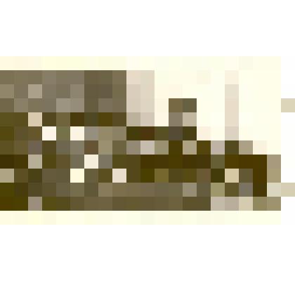 Фотография: совещание работников культуры города Камня-на-Оби и Каменского района Алтайского края по вопросу подготовки к 50-летию советской власти