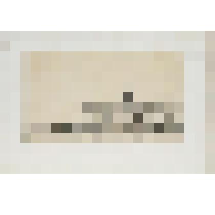 Литография. "Санкт-Петербург. Исаакиевская площадь и памятник Петру Великому. "