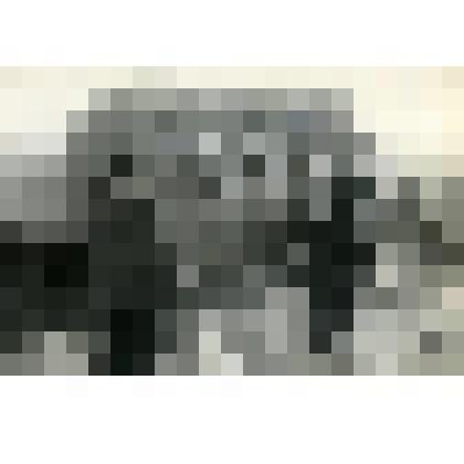 Фотография. Колхозники колхоза «Огородный гигант». С.К. Шуваев – слева. Село Коломенское