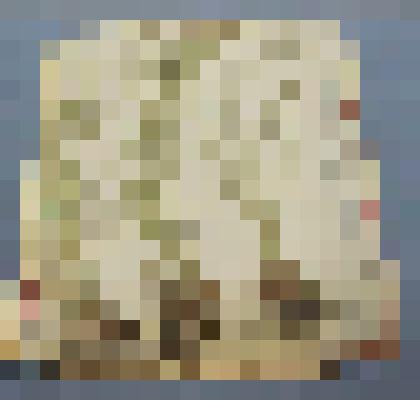 Ботаническая коллекция. Осока болотная, семейство болотные, на гербарном листе, остров реки  Абакан. Cyperaceae Carex capillarus Z