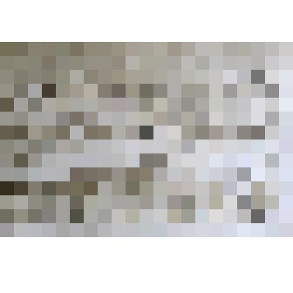 Александровская слобода