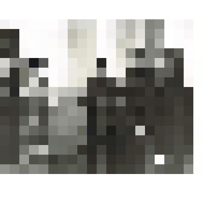 Фотография сюжетная. Иностранные гости в Сургутском краеведческом музее. Экскурсия с Селяниной М.Ю