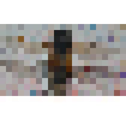 Препарат энтомологический. Слепень бычий