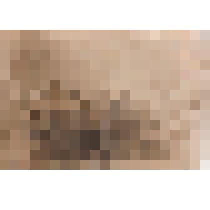 Фотография. Юркин Николай Константинович  среди товарищей