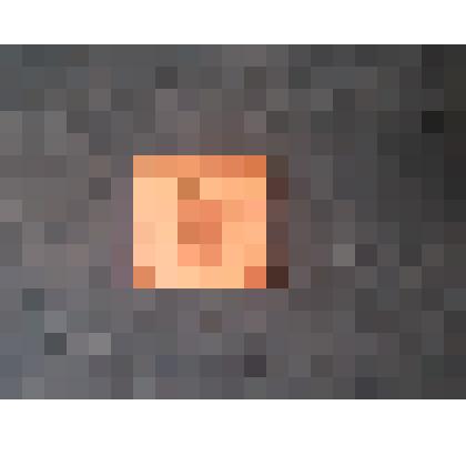 Марка почтовая светло-коричневая, ветка смородины. RIBES NIGRIM, 10 мунгу, MONGOLIA