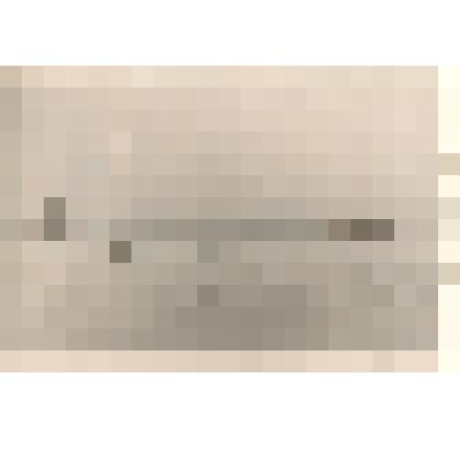 Фотография: скотный двор бывшей коммуны "Социализм" (1920-1929 гг.)