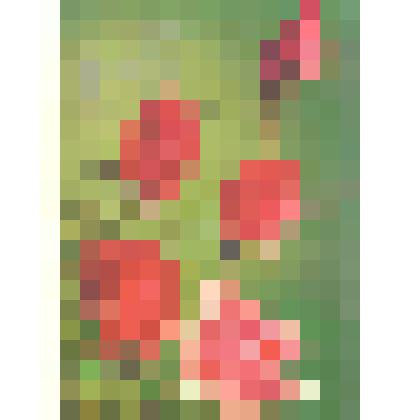 Открытка. «8 марта!». Фото П. Костенко. Министерство связи СССР