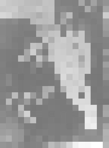 Фоторепродукция. Володя и Оля Маяковские