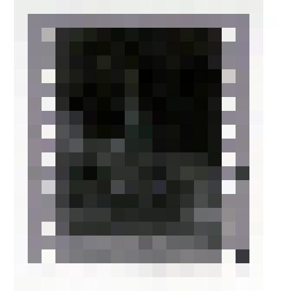 Фотонегатив. Из комплекта: Архив Н.И. Артеменко-Толстой