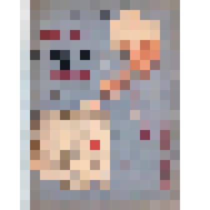 Брошюра. Сказка об Алеше Рязань и дядьке Беломоре