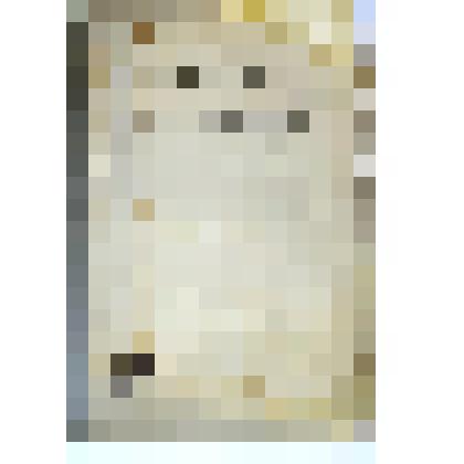 Продолжение Свода Законов Российской Империи, изданного в 1857 году. Продолжение IV. С 4 октября по 31 декабря 1860 г