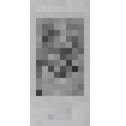 Портрет английского адмирала Труньона