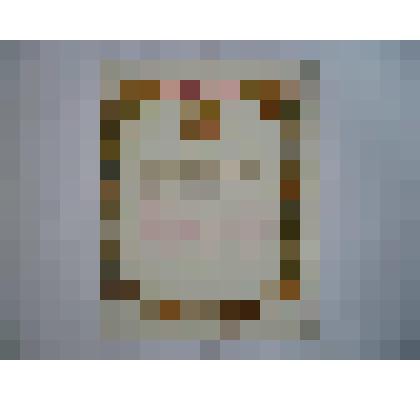 Грамота Кожину И.А.   МИНИСТЕРСТВО ВНУТРЕННИХ ДЕЛ СССР