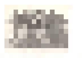 Фотография черно-белая. Женский коллектив колхоза "Путь к коммунизму" Тюменцевского района