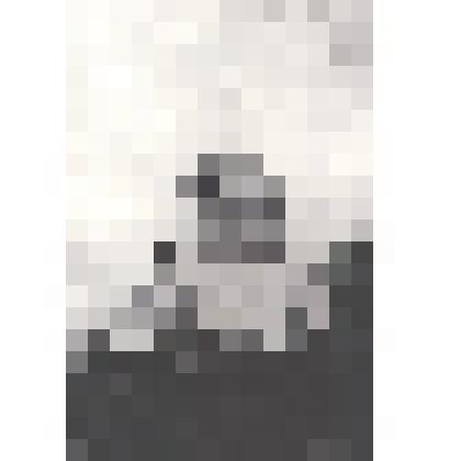 Фотография. Церковь в селе Аркатово, летний пейзаж