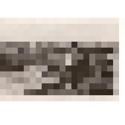 Фото/чб. Костин И.С., директор ЭОМС (ВОЛЖНИИГИМ) с коллегой в поле осматривает водоканал. Энгельсю 1970-е