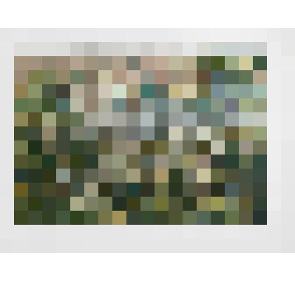 Прогулка у реки