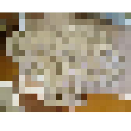 друза кальцита