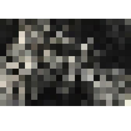 Фотография черно-белая. Помигалов М.А. с однополчанами