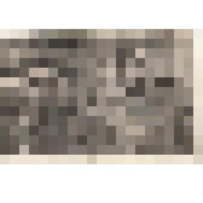 Ф/чб. Потехин М.С. с однополчанином, выпускники Энгельсского Военного-авиационного училища. 1937-1938