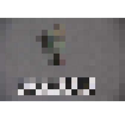 коллекция В.Ф. Лагодича. Талисман каменный лежачий, выполнен в виде головы человека. Вырезана борода. Камень коричневого цвета с вкраплениями зеленого