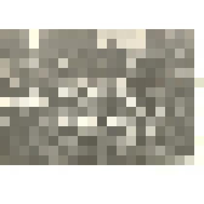 Фотография: встреча монгольской молодежи, прибывшей на учебу в профессионально-техническое училище №19 г.Камня-на-Оби Алтайского края