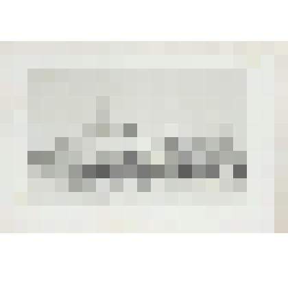 Литография. "Москва. Симонов монастырь. Со стороны Москвы реки."