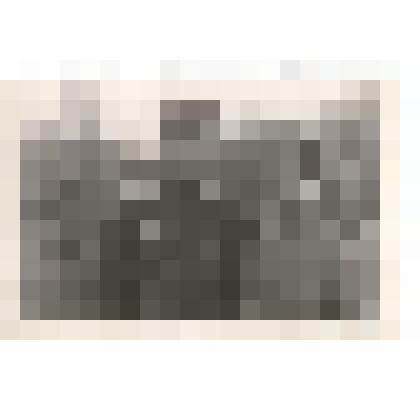 Фото/чб. Майор Костин И.С., зам. нач-ка по политчасти армейского полевого госпиталя 5264 (справа) с однополчанином. /ВОВ. 1945