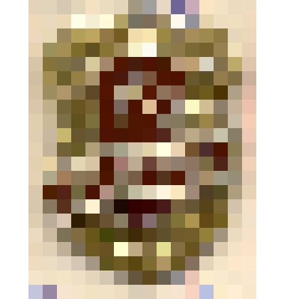 Значок нагрудный "Дружинник"