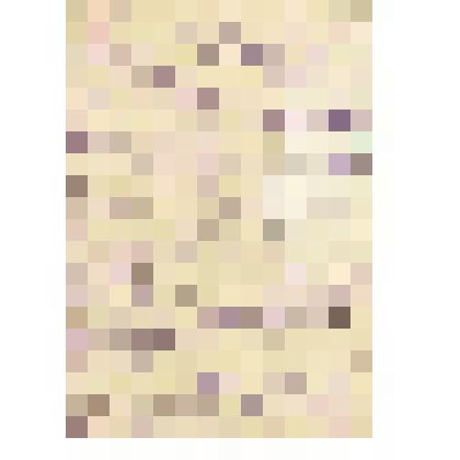 Письмо А. И. Кочеткова Н.К. Обухову с возмущением на ложь Солдатова об участии жителей Ермаковского района в ноябрьском восстании 1918 г