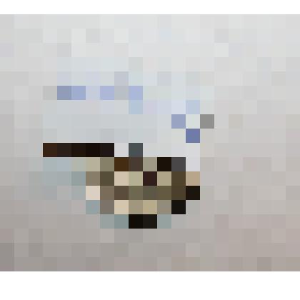 Значок "Общество борьбы за трезвость". Принадлежал: Голубеву