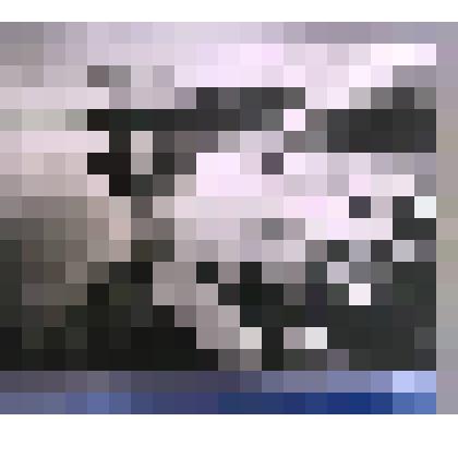 Фотография."Соловки — Голгофа России."