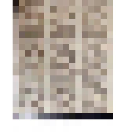 Марок почтовых блок. 9 марок, номиналом 20 шагов