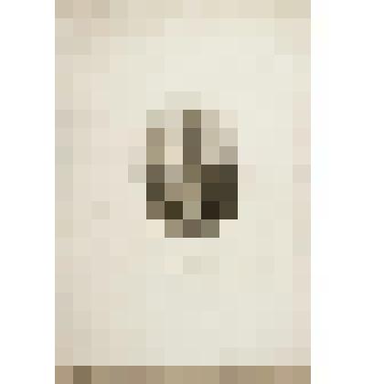 Портрет Г.Р. Державина. С портрета В.Л. Боровиковского (1811. Всероссийский музей А.С. Пушкина)