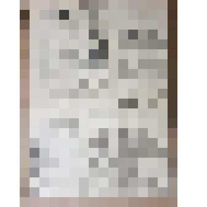 Газета «Боевая красноармейская» № 125