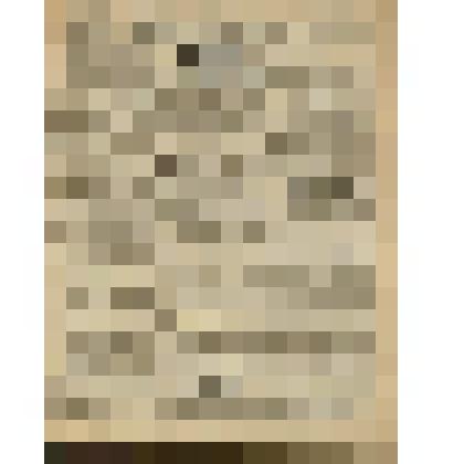 Газета. "Красный кавалерист" № 209