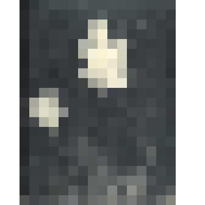 Фото. Маяковский В.В. читает поэму «Летающий пролетарий» на праздновании 2-й годовщины Общества друзей воздушного флота (ОДВФ) в Большом театре. Кадр кинохроники