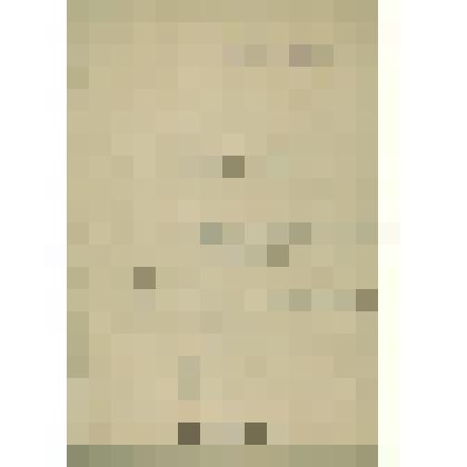 Документы  периода  становления  Сольвычегодского  музея