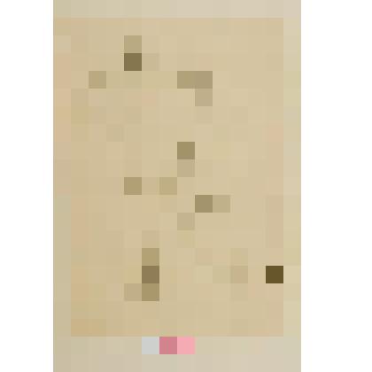 Портрет Н. И. Гумалика