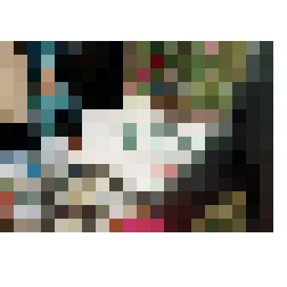 Фотография. Стол с табличкой "чеченская кухня"