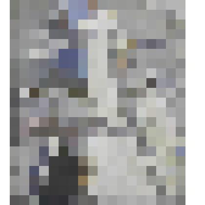 Мила. Портрет жены художника