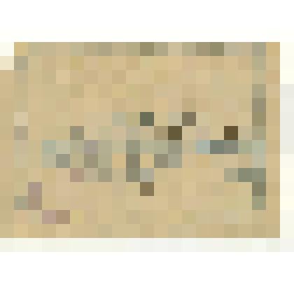 Мандат №28 от 1 марта 1931 г. Товарищ Елистратов Дмитрий Кузьмич является делегатом 1-го Каменского районного съезда колхозов