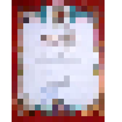 Диплом 2003 год Левенкову О.П. за 2 место в конноспортивных соревнованиях от Главного судьи Курского ипподрома