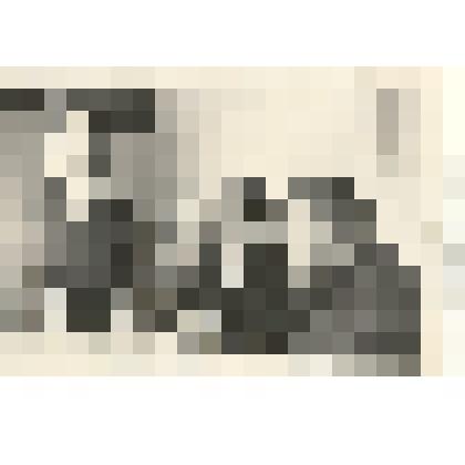 Фотография: Александра Ивановна Баркова (в центре) занимается с коммунистами совхоза "Путь Ильича" Бурлинского отделения Каменского района Алтайского края А.Ф. Кузнецовой и А.И. Пономаревым