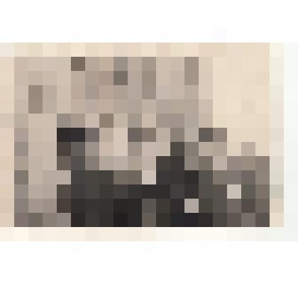 Фото/чб. Костин И.С., директор ЭОМС (ВОЛЖНИИГИМ) с делегацией из ЧСРР. Энгельс. 1965 г