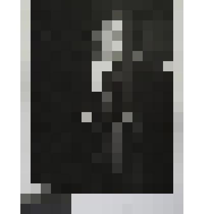 Портрет Е.Петросяна